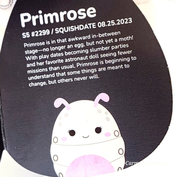 🖤 PRIMROSE & PRIOR 🦋🐛 White & Pink Velvet Moth & Caterpillar Select Series - Picture 7 of 14